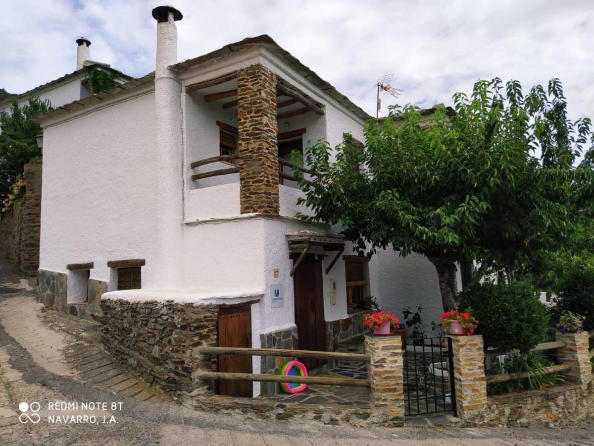 Casa Alpujarrena Fina Numero 27 ブビオン エクステリア 写真