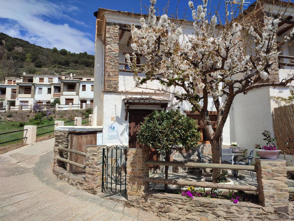 Casa Alpujarrena Fina Numero 27 ブビオン エクステリア 写真