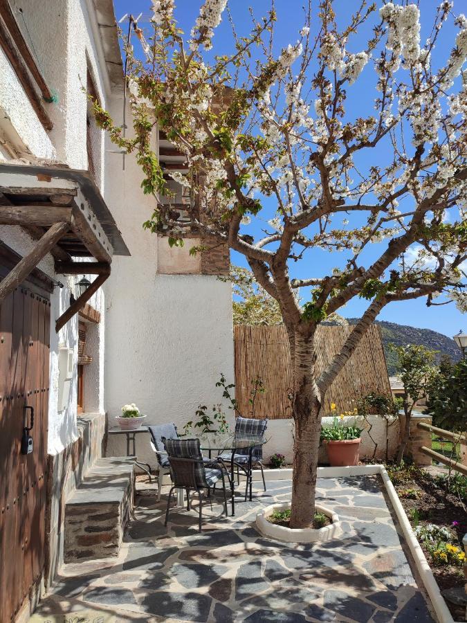 Casa Alpujarrena Fina Numero 27 ブビオン エクステリア 写真