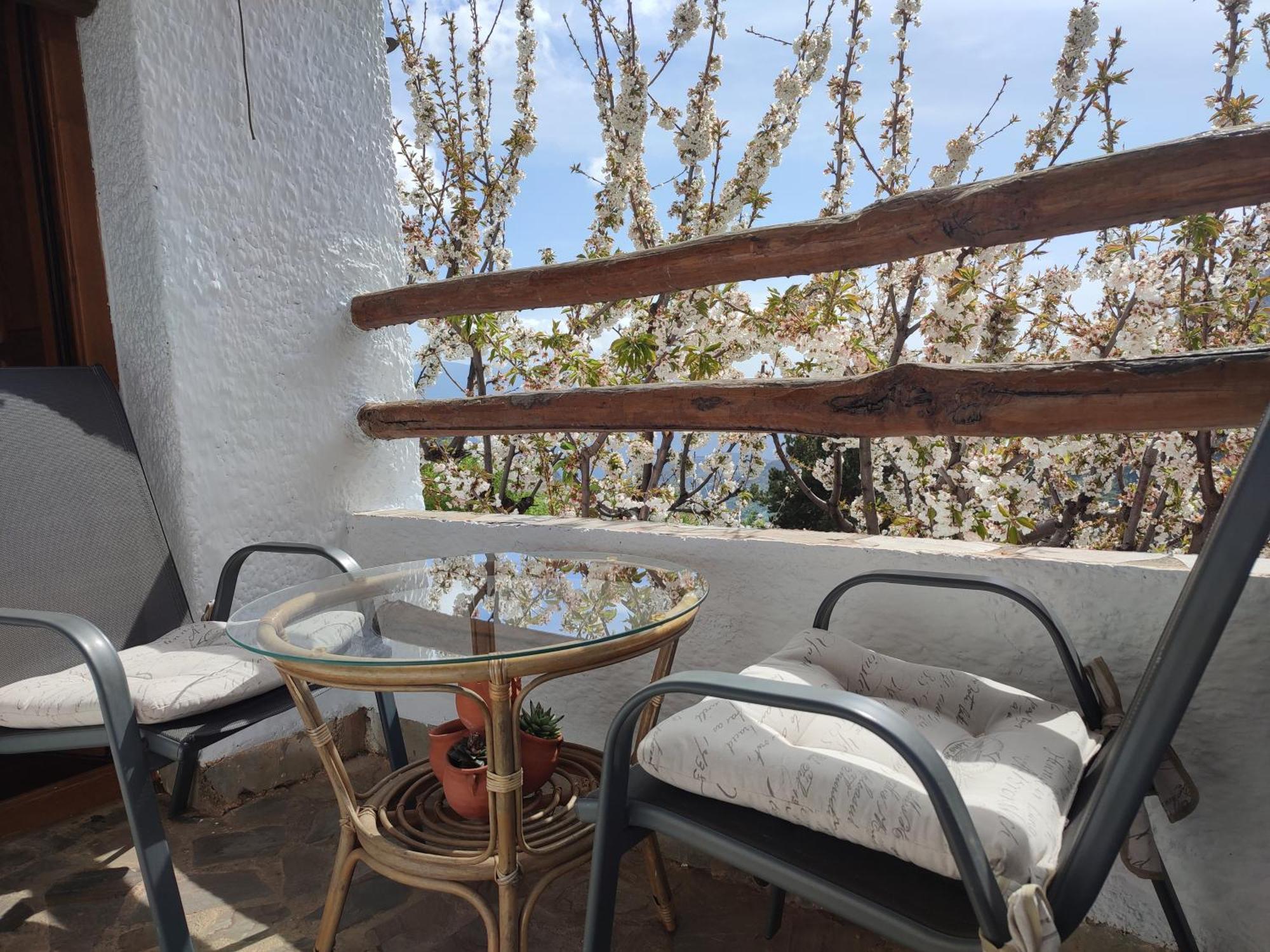 Casa Alpujarrena Fina Numero 27 ブビオン エクステリア 写真