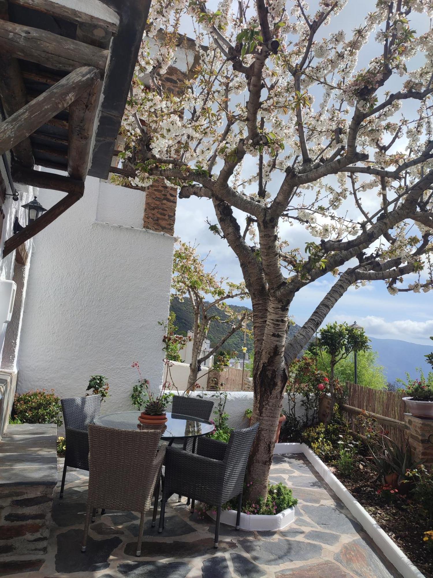 Casa Alpujarrena Fina Numero 27 ブビオン エクステリア 写真
